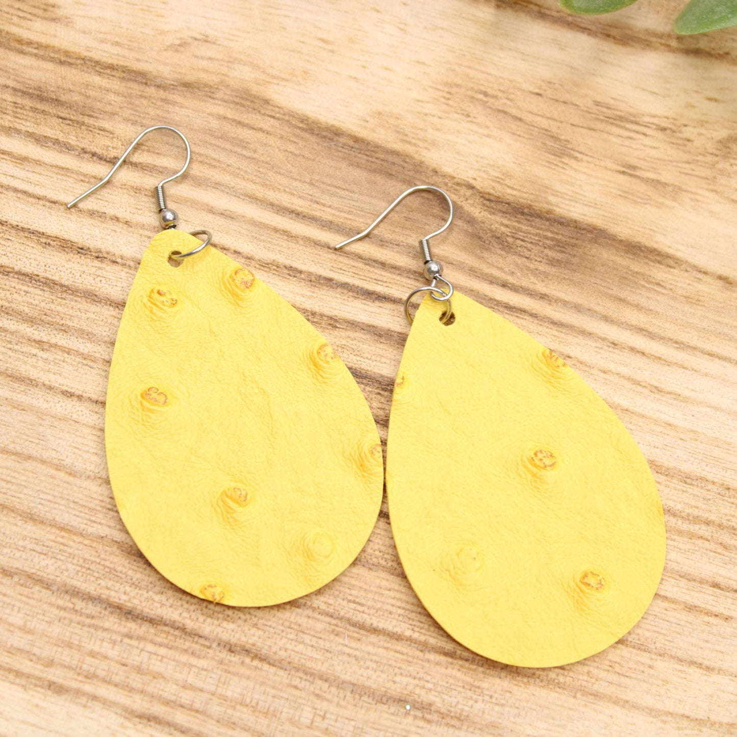 Desert Valley Earrings LS